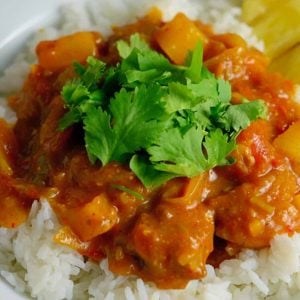 A close up of a plate of food with rice and vegetables, with Curry and Pork