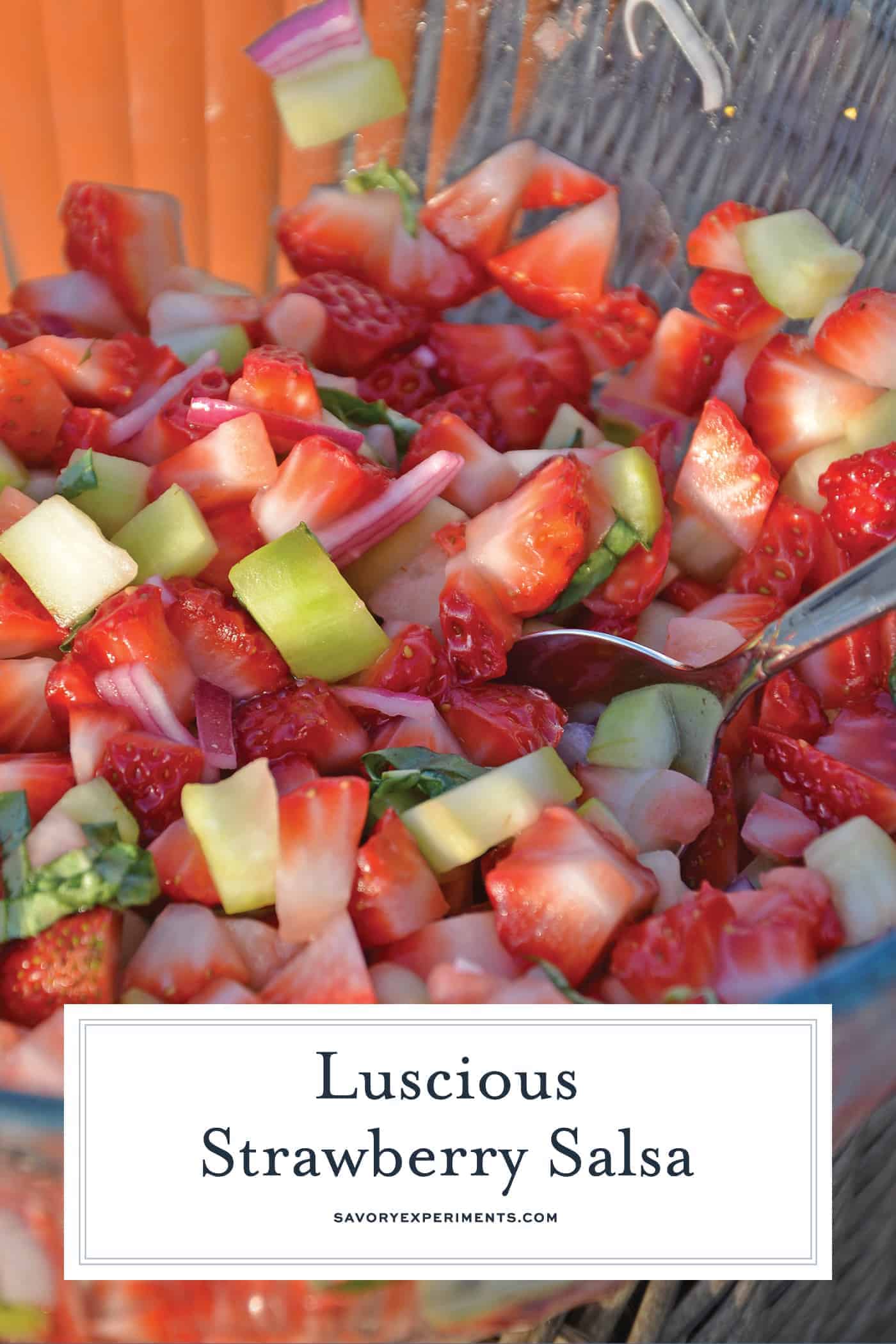 This Strawberry Salsa recipe uses sweet strawberries with cooling cucumber, red onion, basil and zesty white wine vinegar for a juicy dip or condiment. #homemadesalsa #fruitsalsa #strawberrysalsa www.savoryexperiments.com