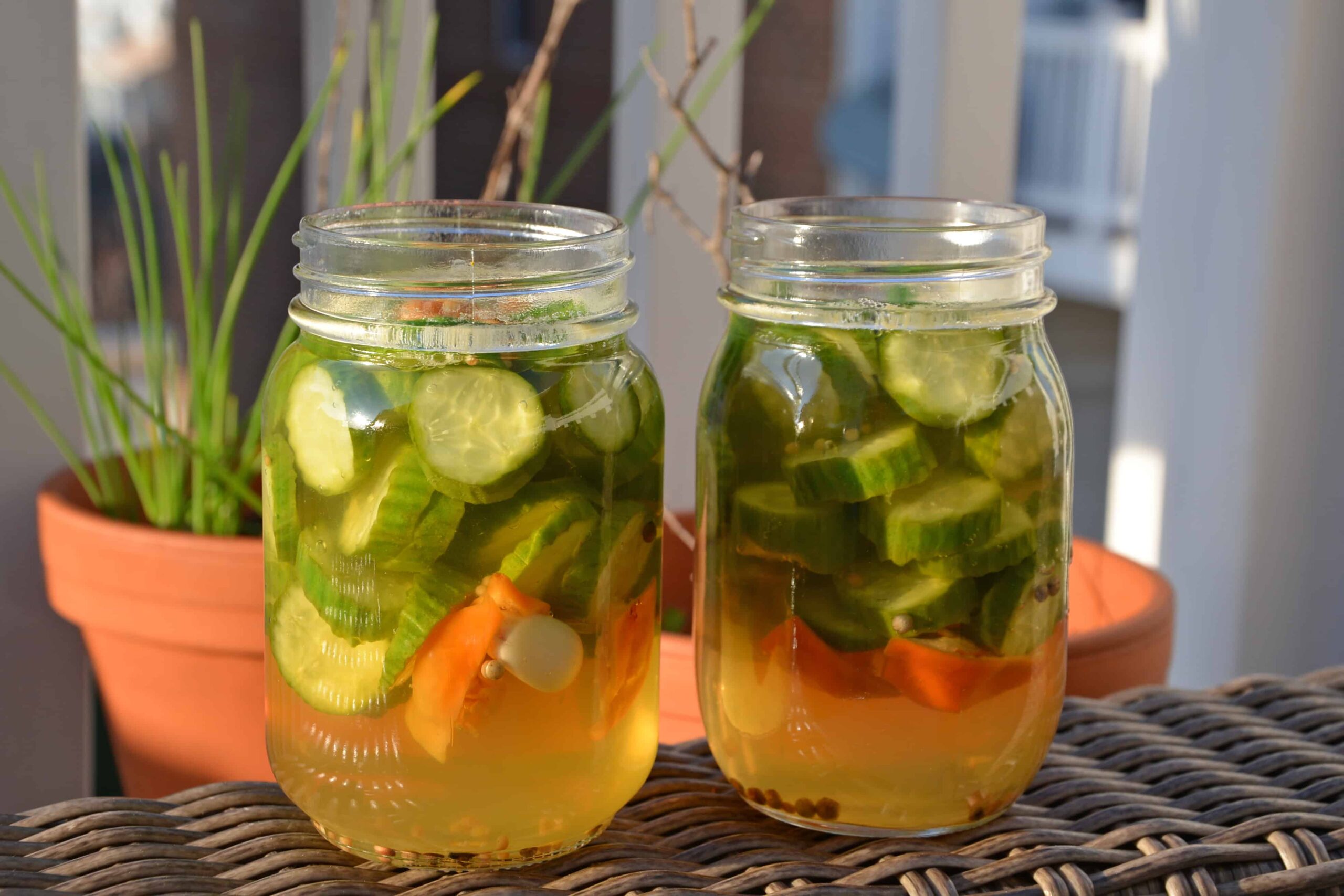 Honey Habanero Pickles - It only takes a few minutes to make Easy Refrigerator Honey Habanero Pickles. Once you make your own homemade version, you'll never buy store bought again- these are spicy and sweet and are ready in just 1 week! www.savoryexperiments.com