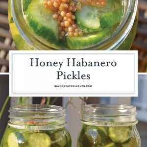 Honey Habanero Pickles are the best of both worlds, spicy and sweet. Eat them as a snack or pair them your favorite burger or hot dog. #homemadepickles #sweetandspicypickles #picklerecipe www.savoryexperiments.com