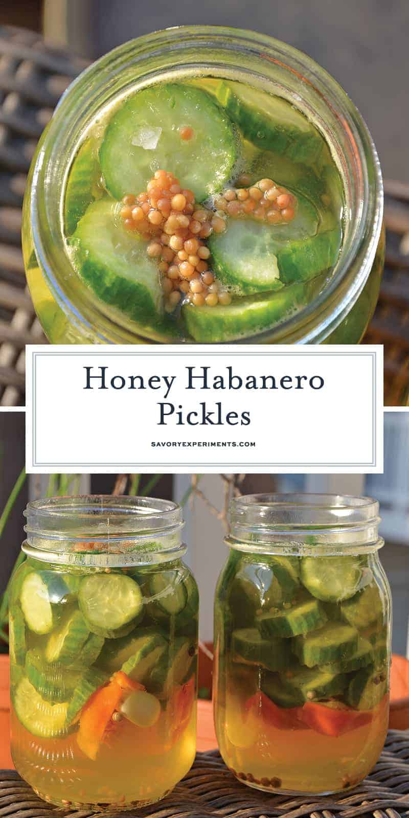 Honey Habanero Pickles are the best of both worlds, spicy and sweet. Eat them as a snack or pair them your favorite burger or hot dog. #homemadepickles #sweetandspicypickles #picklerecipe www.savoryexperiments.com