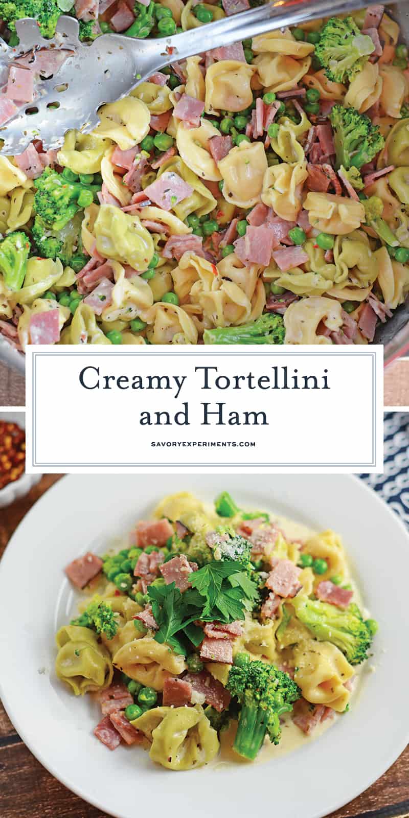 Creamy Tortellini and Ham uses an easy alfredo sauce recipe with cubed ham, peas, broccoli and seasonings to make a 20 minute one-pot meal! #onepotmeals #easytortellinirecipe www.savoryexperiments.com