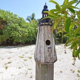 The Greenest Main Street in America is on Anna Maria Island
