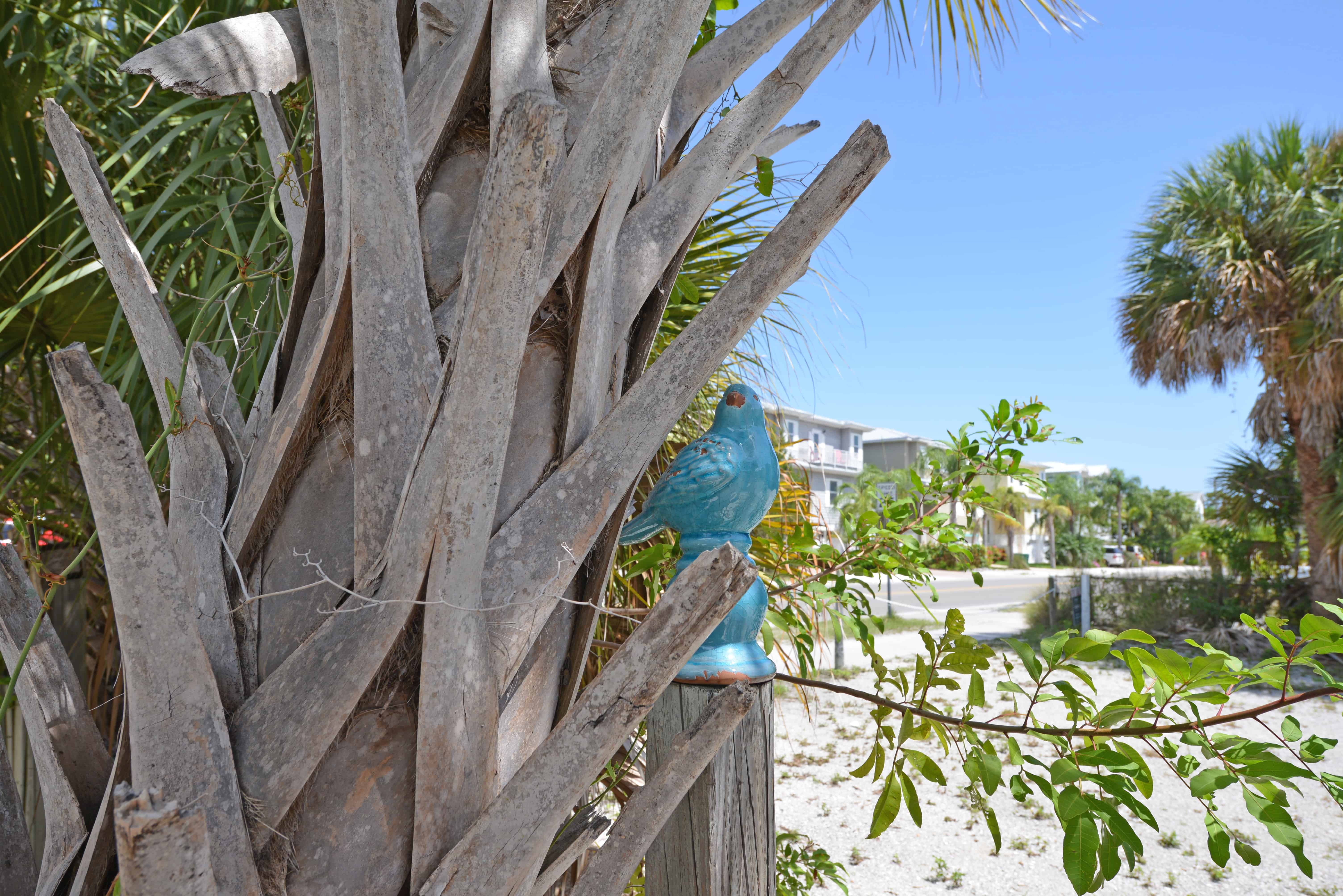 The Greenest Main Street in America is on Anna Maria Island