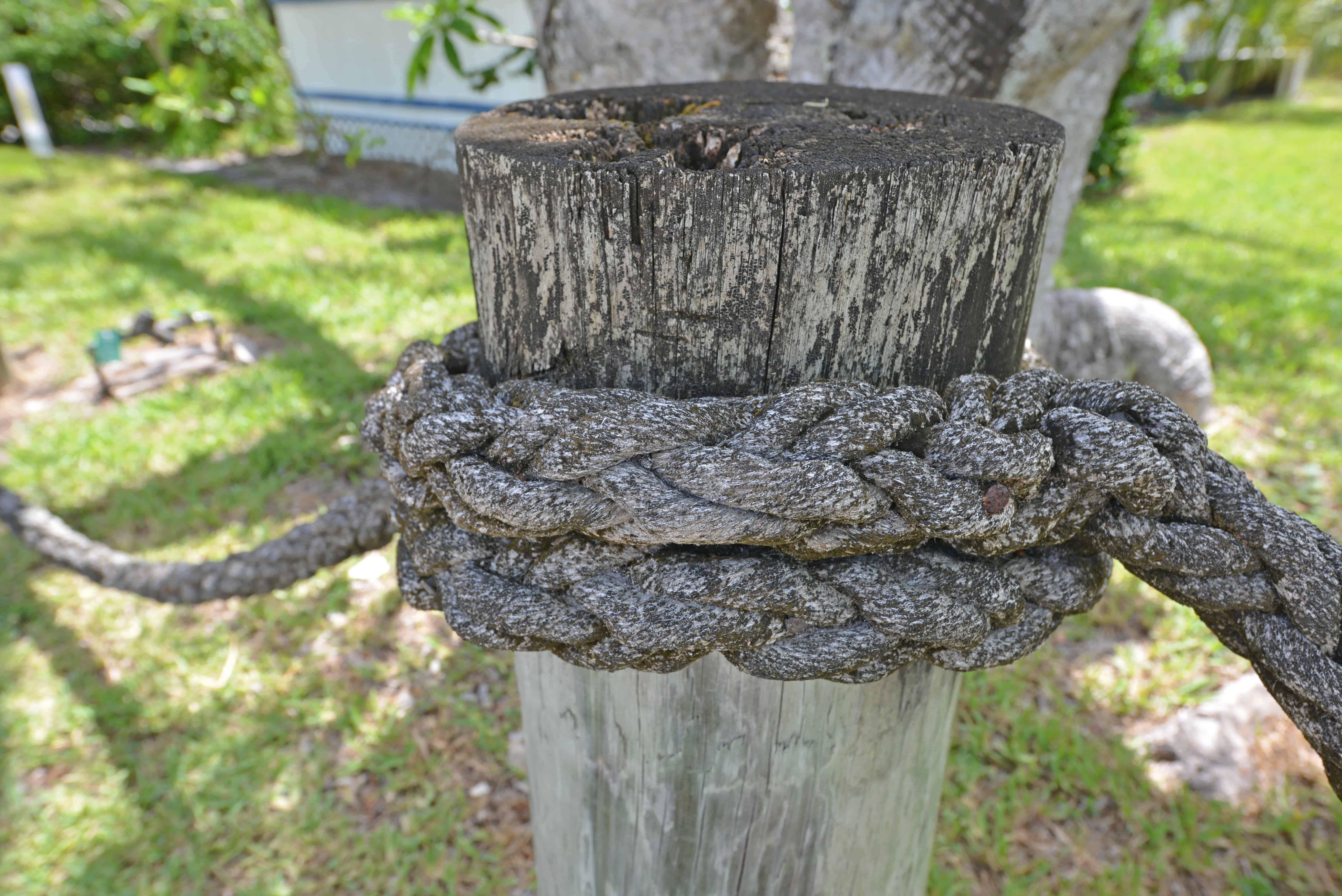 The Greenest Main Street in America is on Anna Maria Island