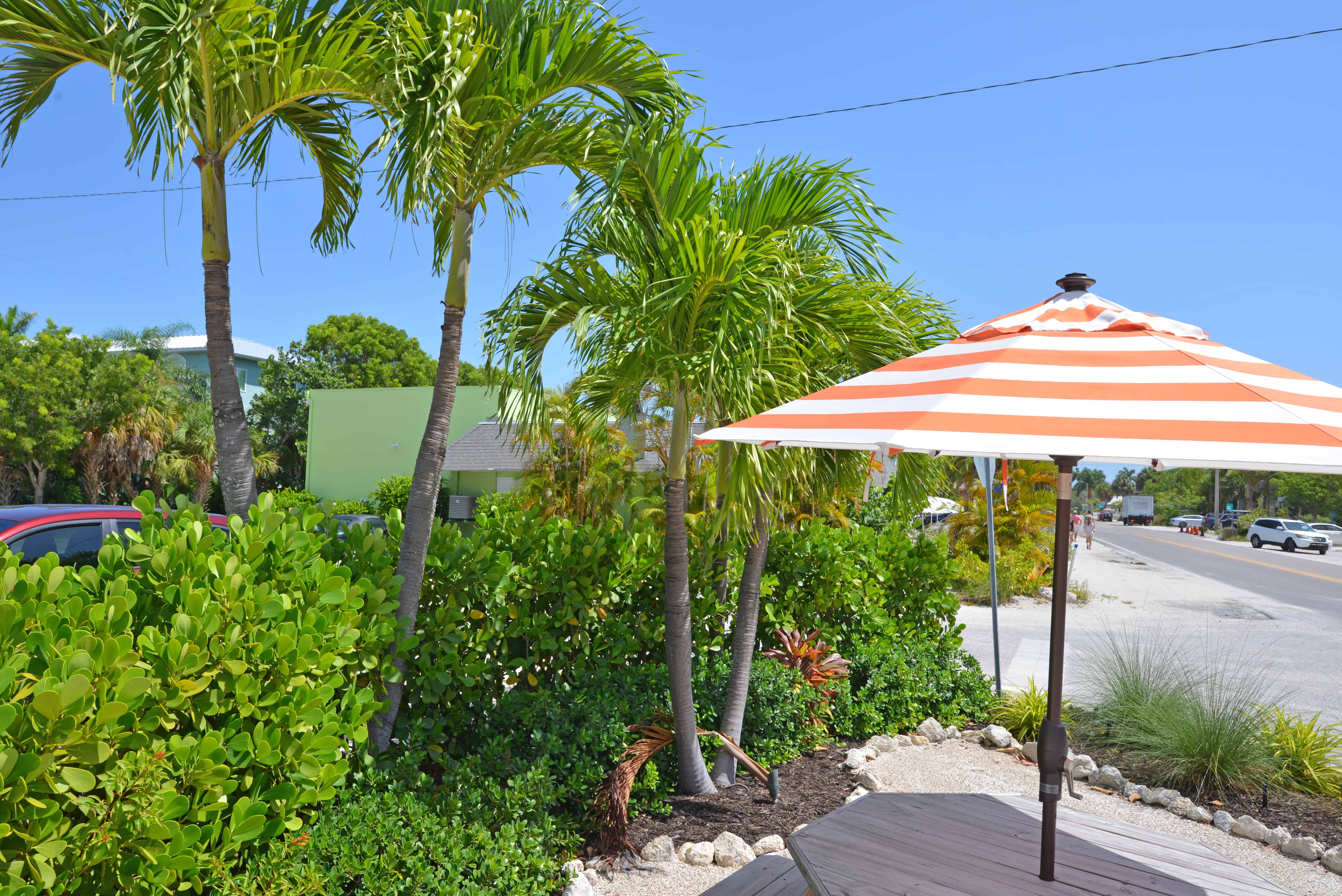 The Greenest Main Street in America is on Anna Maria Island