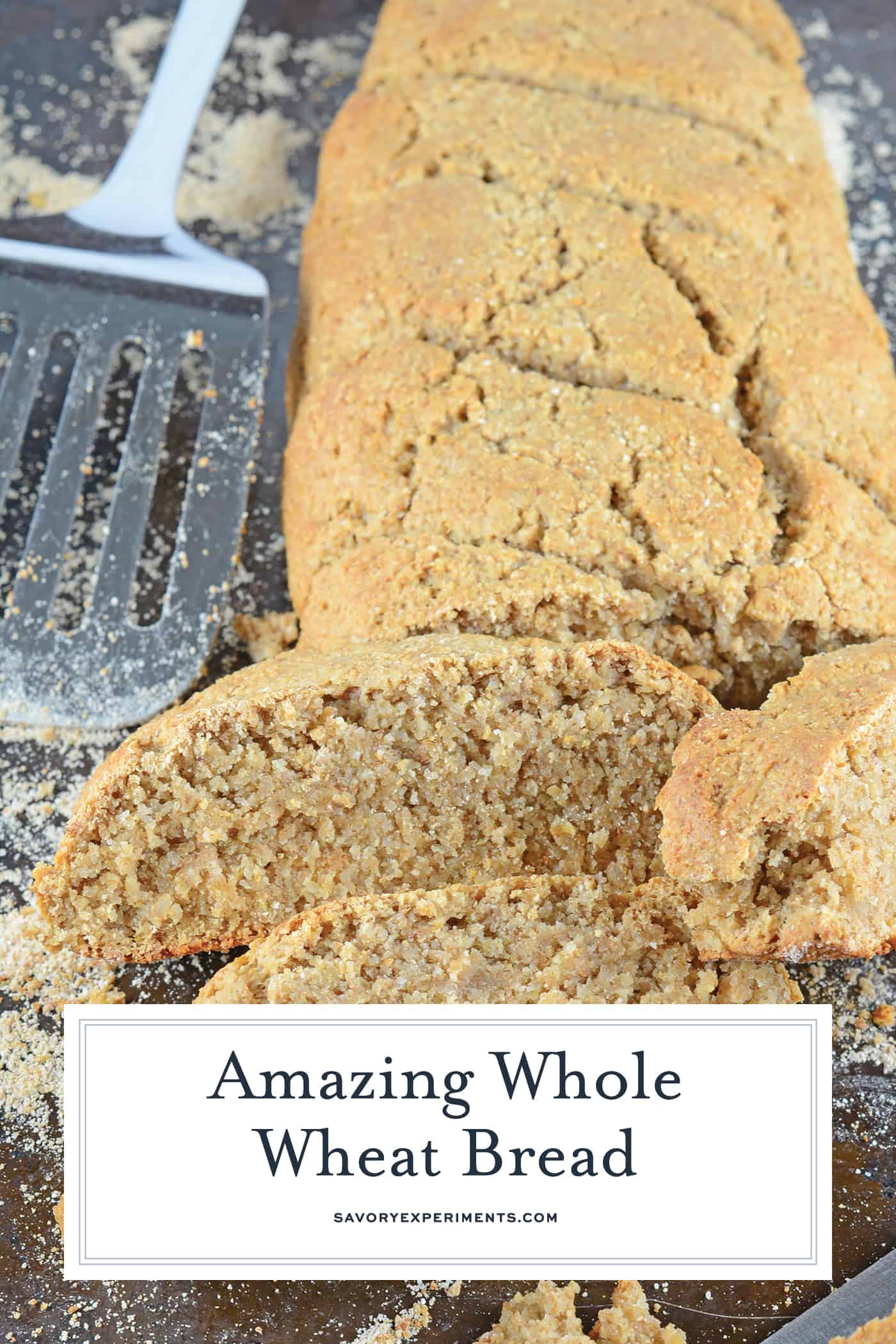 Whole Wheat Bread, homemade bread is not only healthier, it is also super easy to make! Only 30 minute hands-on for an impressive loaf of whole wheat bread. #homemadebread #wholewheatbreadrecipes www.savoryexperiments.com