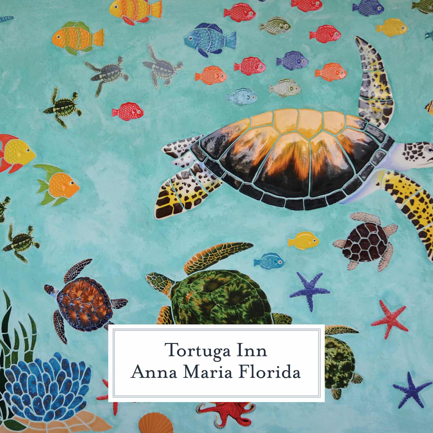 The Tortuga Inn is the best place to stay on Anna Maria Island, ideal for families and solo travelers, it has all the luxuries of home. #annamariaisland #visitflorida www.savoryexperiments.com