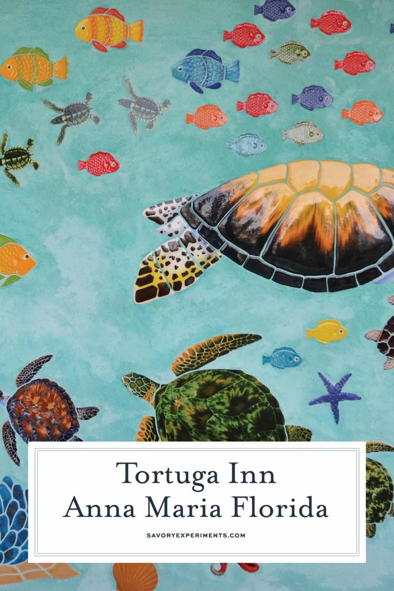 The Tortuga Inn is the best place to stay on Anna Maria Island, ideal for families and solo travelers, it has all the luxuries of home. #annamariaisland #visitflorida www.savoryexperiments.com