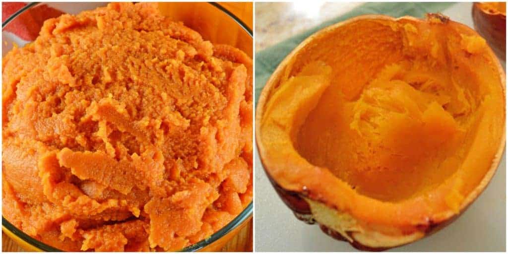 Make your own pumpkin puree using one ingredient: pumpkin. Learn about the pie pumpkin and find pumpkin recipes to use your pumpkin puree.