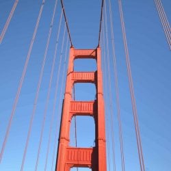 Ready to see San Francisco in just 48 hours? I've got the best way to see the landmarks and also eat the best food right here!