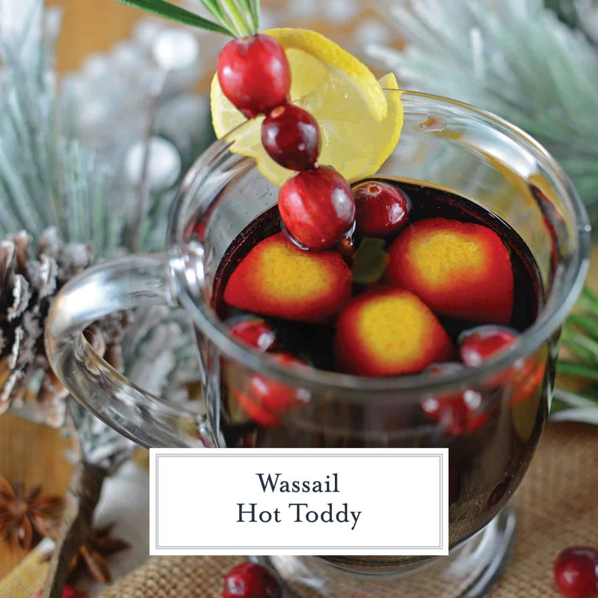 Wassail Hot Toddy should be on everyone's holiday cocktail list! It's so easy to make and perfect for holiday parties, you'll be the star of the show! #howtomakeahottoddy #whatisahottoddy #hottoddyrecipes www.savoryexperiments.com