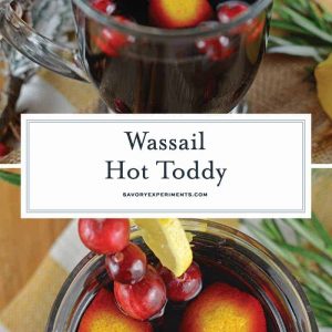 Wassail Hot Toddy should be on everyone's holiday cocktail list! It's so easy to make and perfect for holiday parties, you'll be the star of the show! #howtomakeahottoddy #whatisahottoddy #hottoddyrecipes www.savoryexperiments.com