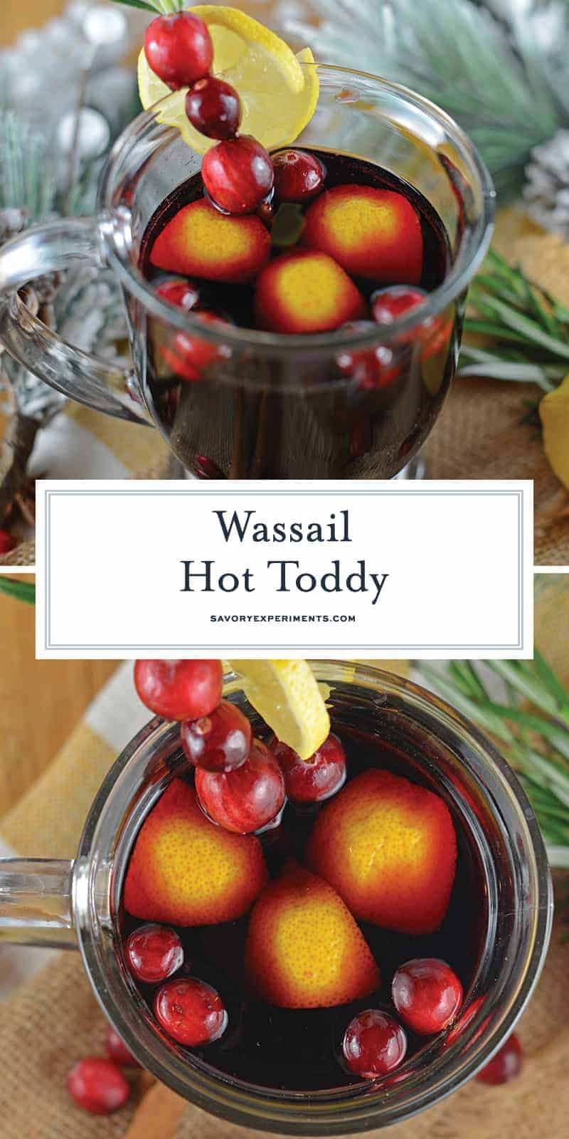 Wassail Hot Toddy should be on everyone's holiday cocktail list! It's so easy to make and perfect for holiday parties, you'll be the star of the show! #howtomakeahottoddy #whatisahottoddy #hottoddyrecipes www.savoryexperiments.com