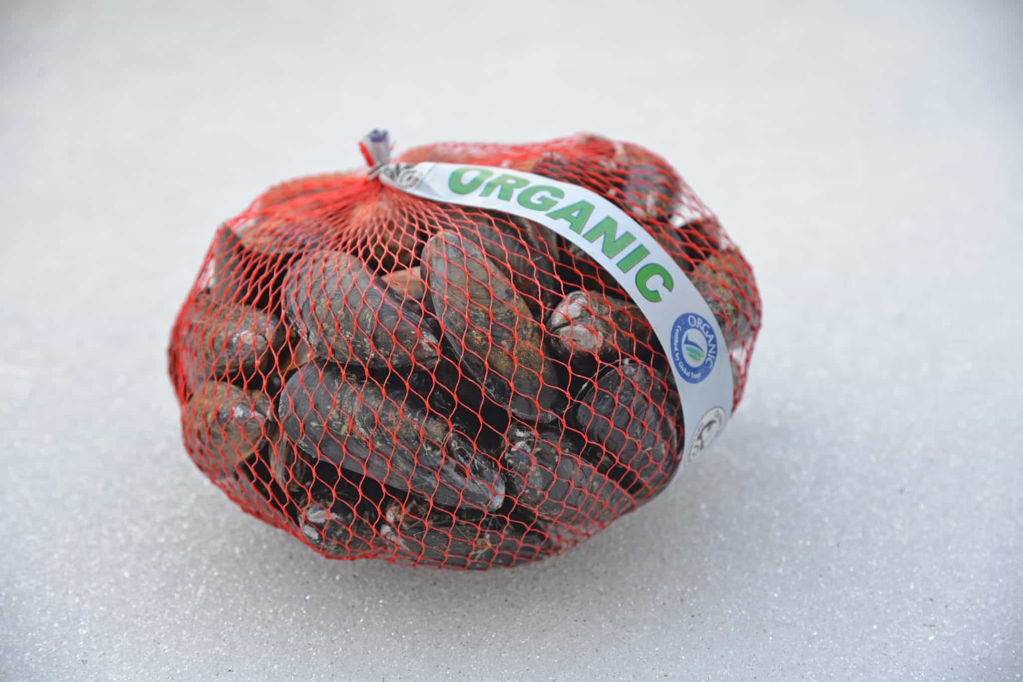 live mussels in a red mesh bag 