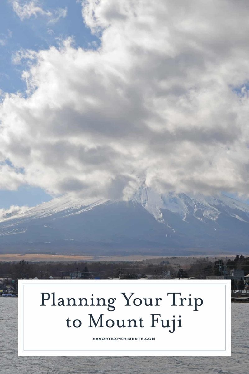 Easy tips on how to get the most out of your day trip from Tokyo to Mt. Fuji, Japan's active volcano and tallest peak. #tokyo #japan #myfuji www.savoryexperiments.com