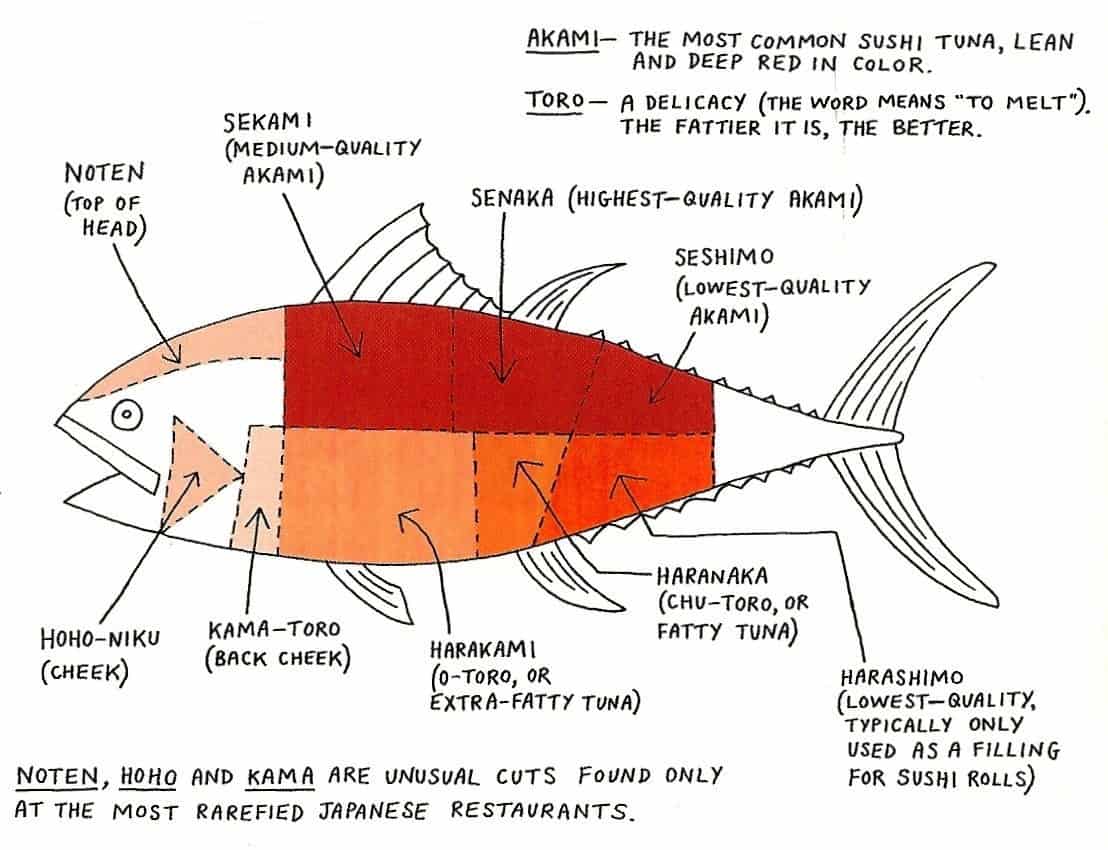 tuna infographic 