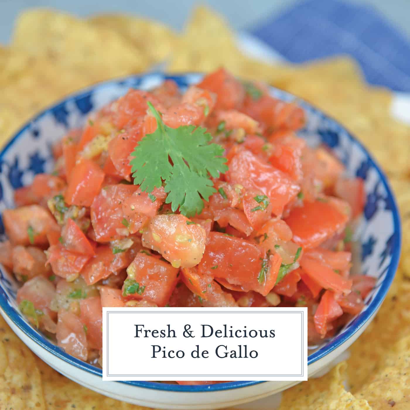 Pico de Gallo, also known as salsa fresca, is made from fresh tomato, onion, cilantro, hot pepper and lime juice. Perfect with tortilla chips! #picodegallo #homemadesalsa www.savoryexperiments.com