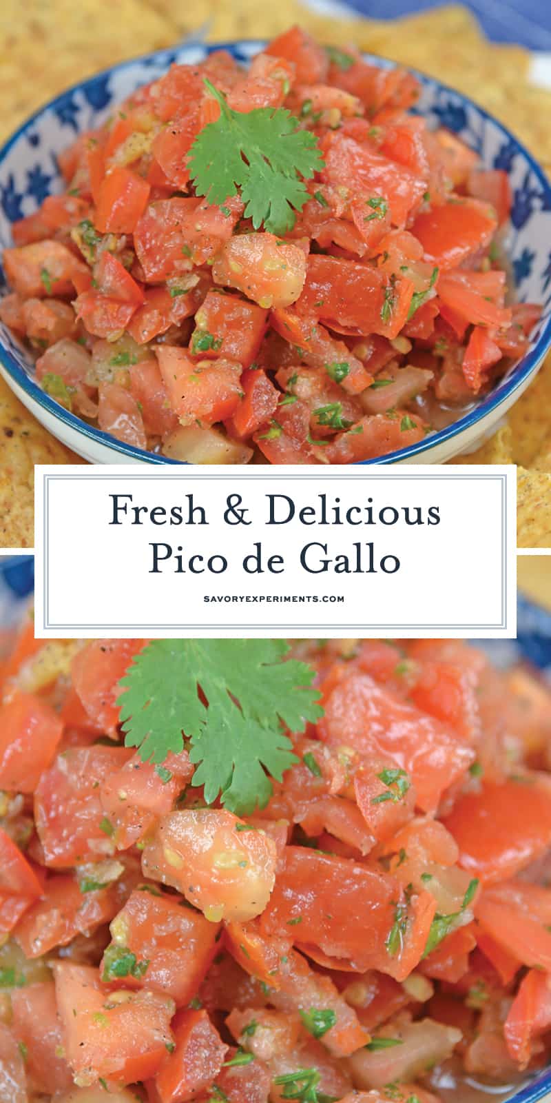 Pico de Gallo, also known as salsa fresca, is made from fresh tomato, onion, cilantro, hot pepper and lime juice. Perfect with tortilla chips! #picodegallo #homemadesalsa www.savoryexperiments.com 