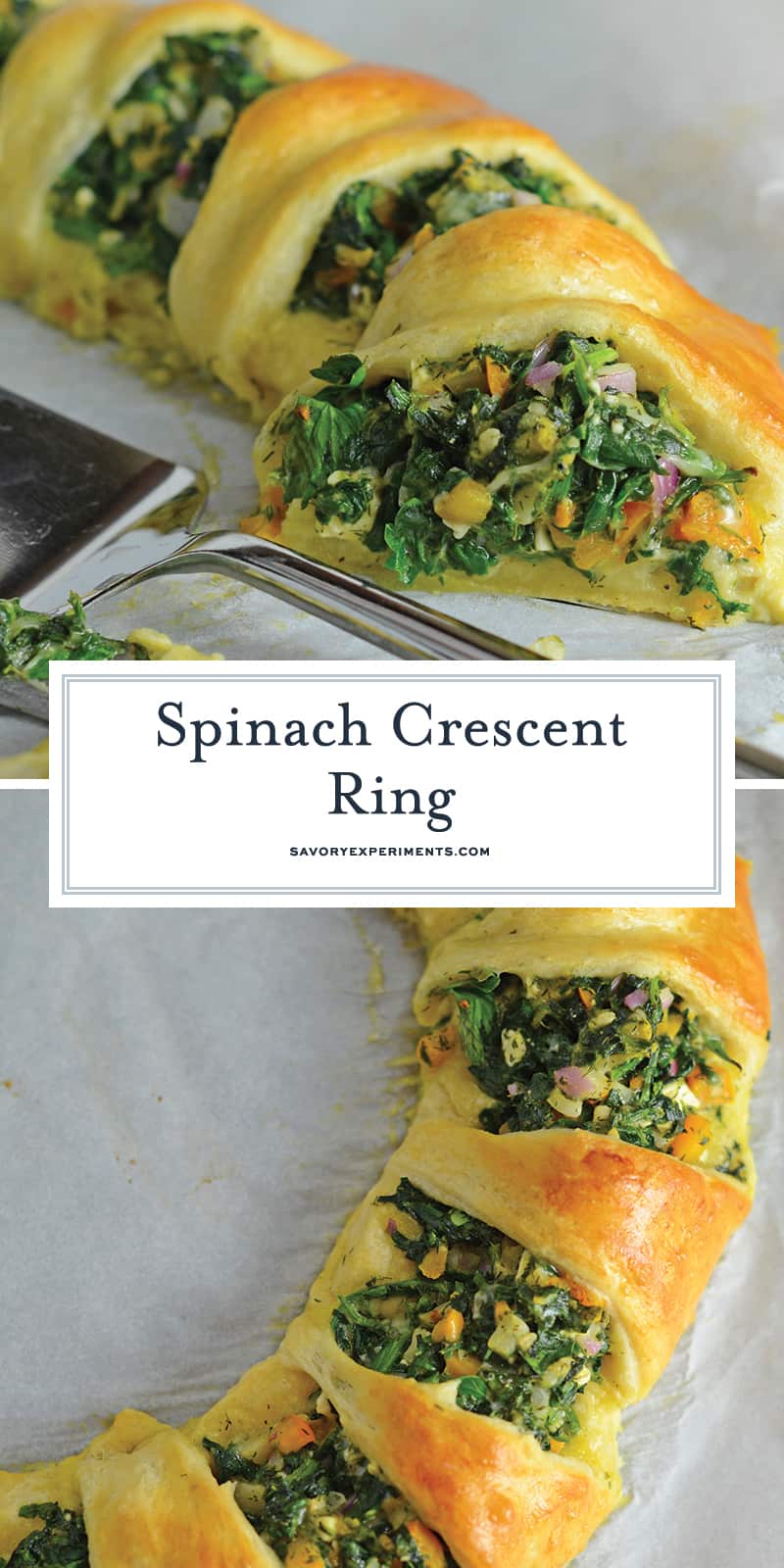 Spinach Crescent Ring is an easy brunch idea or appetizer recipe using spinach, bell pepper, onion, herbs and cheese. It is a hit at all of my parties! #crescentrollrecipes #appetizerideas #brunchrecipes www.savoryexperiments.com 