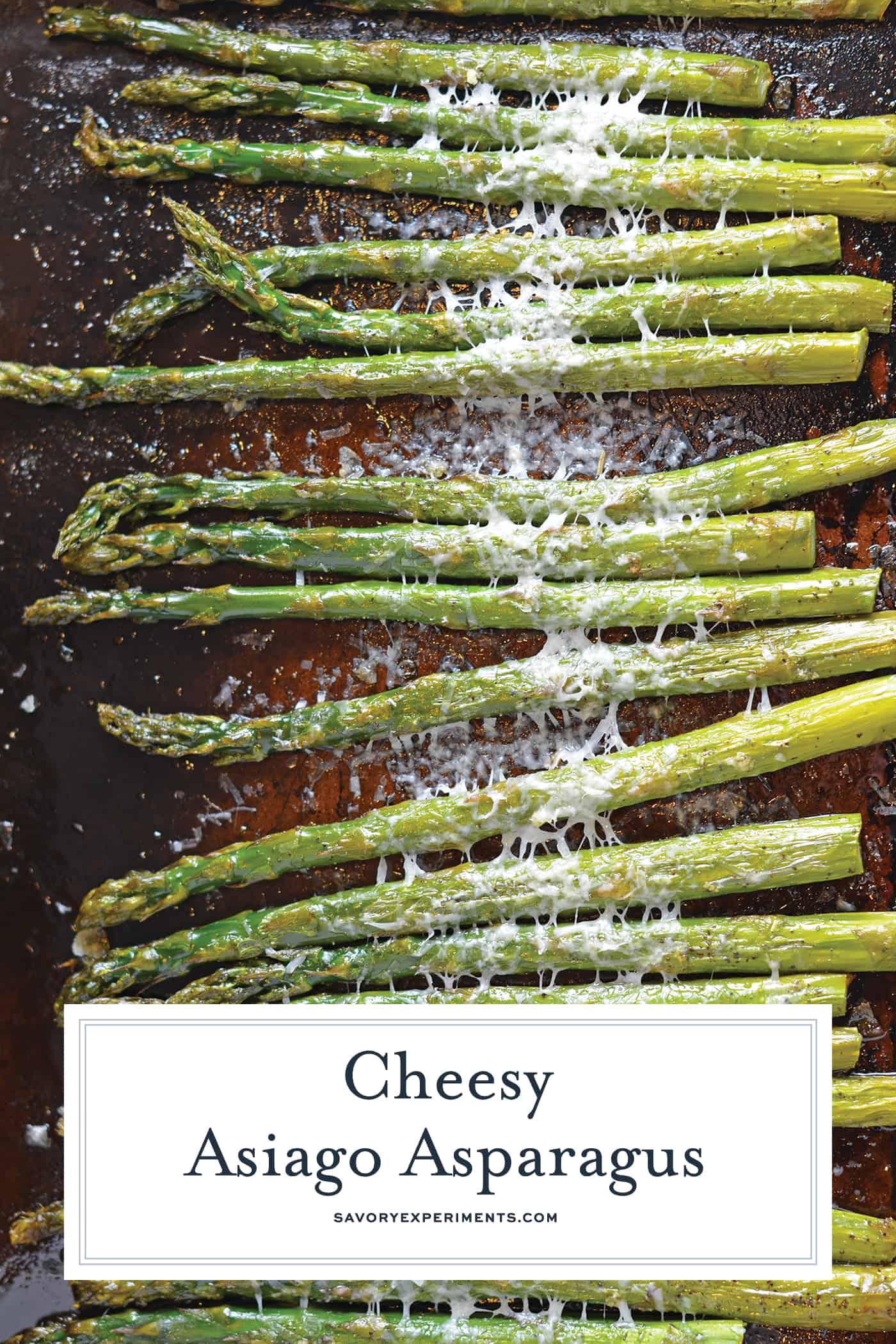 This delicious Asiago Asparagus is a quick and easy roasted asparagus recipe requiring only 4 ingredients and 15 minutes to prepare. #howtomakeasparagus #roastedasparagus www.savoryexperiments.com
