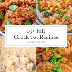 fall crock pot recipes