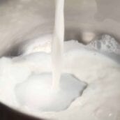 Milk being poured into a pan