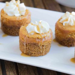 mini pumpkin cheesecakes on a plate