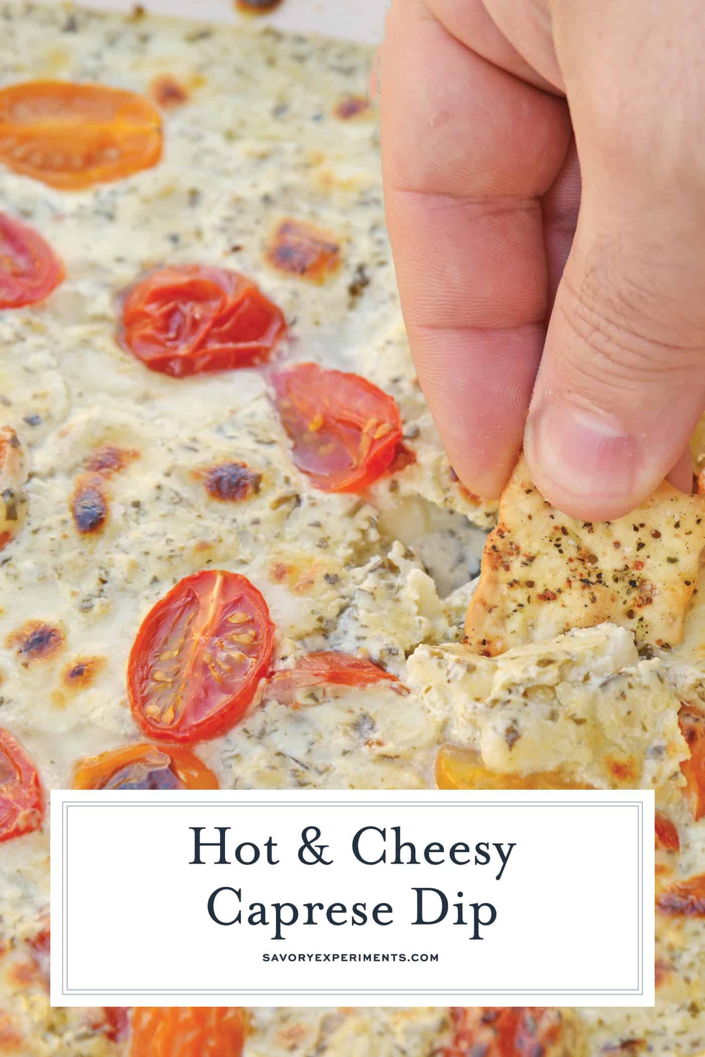Hot Caprese Dip is a party appetizer favorite using mozzarella, pesto and sweet tomatoes. An easy appetizer your guests will love! #capresedip #capresesalad #partyappetizers www.savoryexperiments.com