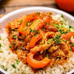 crock pot chicken cacciatore over rice