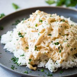 shredded creamy chicken over rice on plate