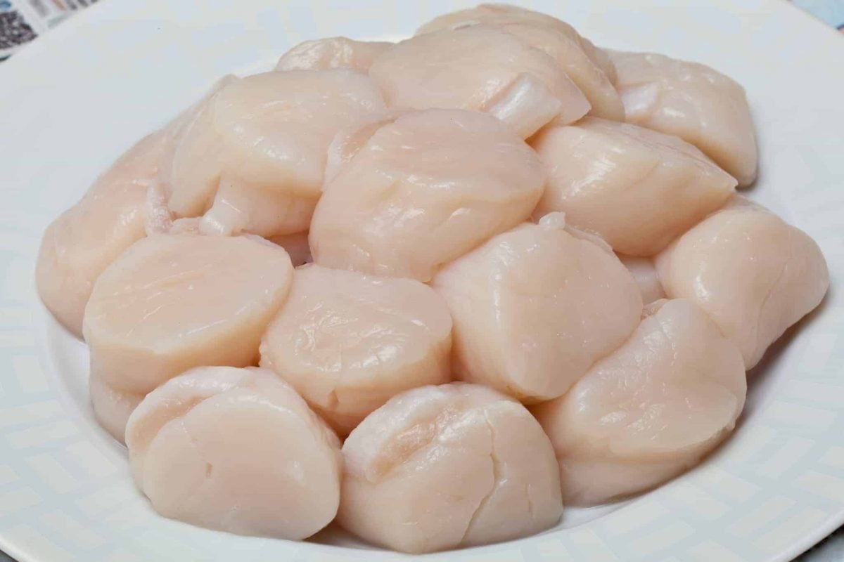 Raw Scallops in a white bowl
