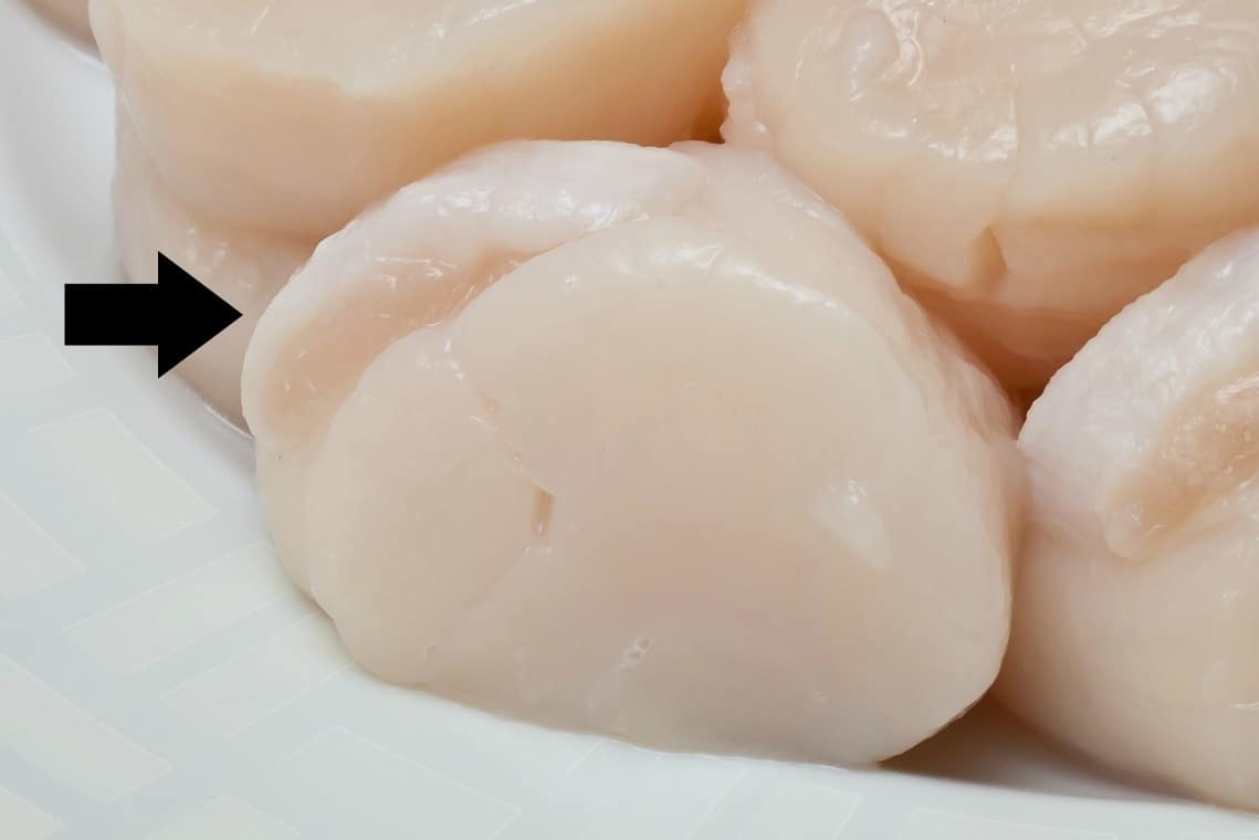 where is the muscle that needs to be removed on a scallop? 