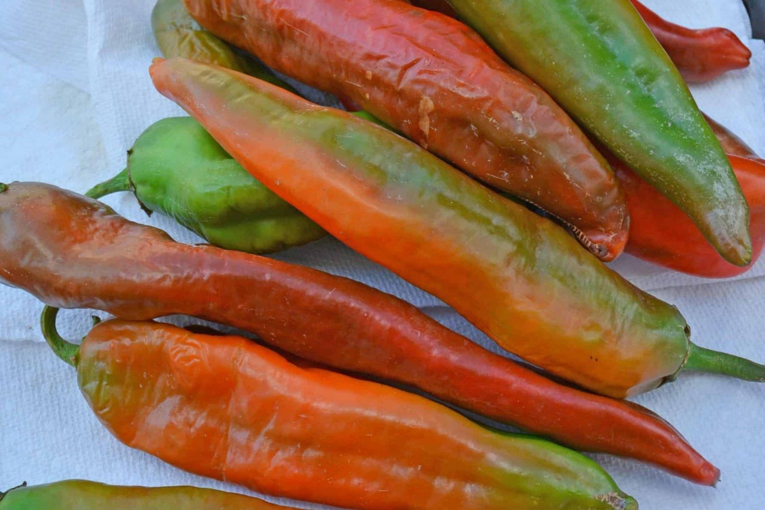 How to Roast Hatch Chile Peppers + VIDEO (Peeling & Freezing Peppers)