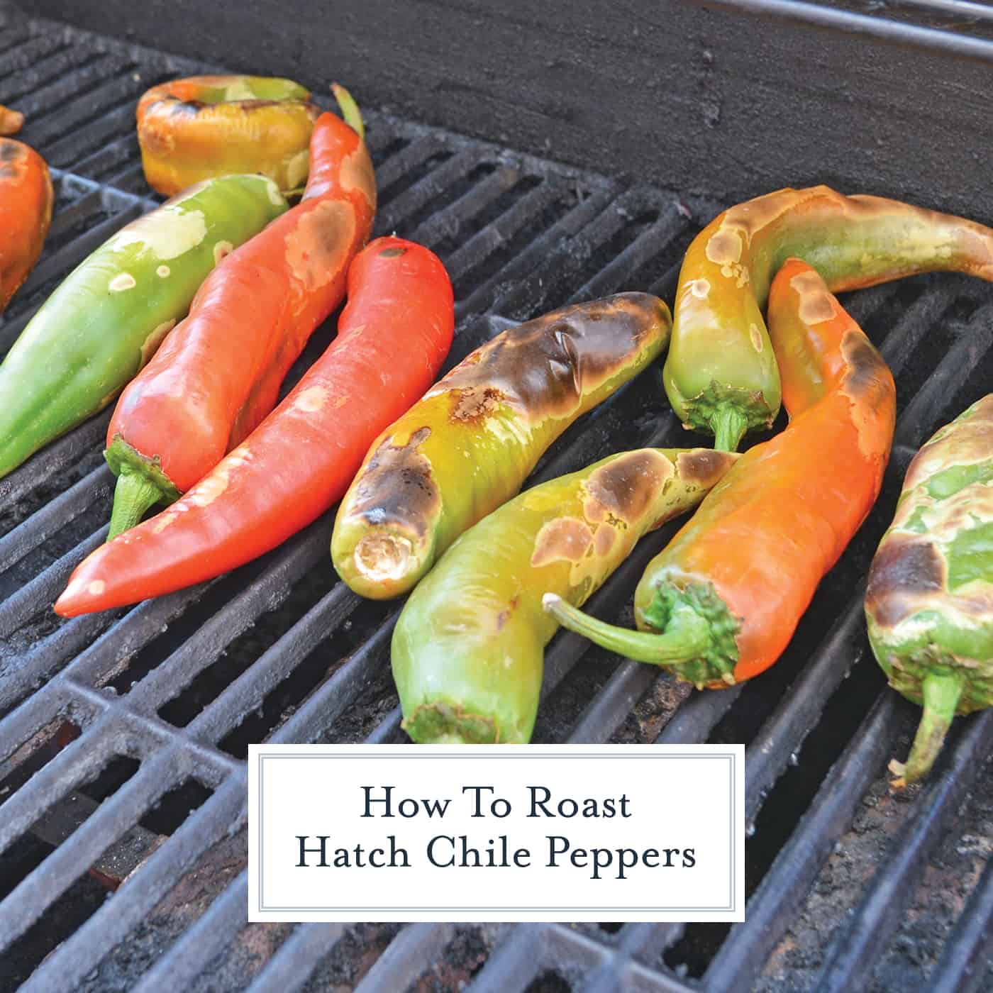 Step-by-step instructions with pictures on how to roast Hatch chile peppers. Roast, peel and seed super easy! #howtoroasthatchchilepeppers #hatchchile www.savoryexperiments.com 