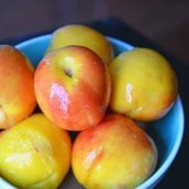 Blue bowl full of peaches