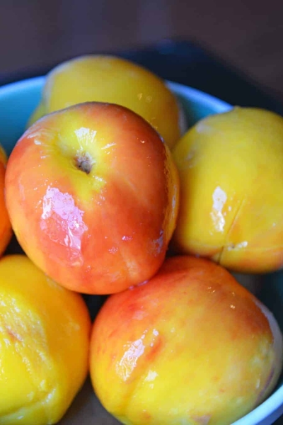 Blue bowl full of peaches