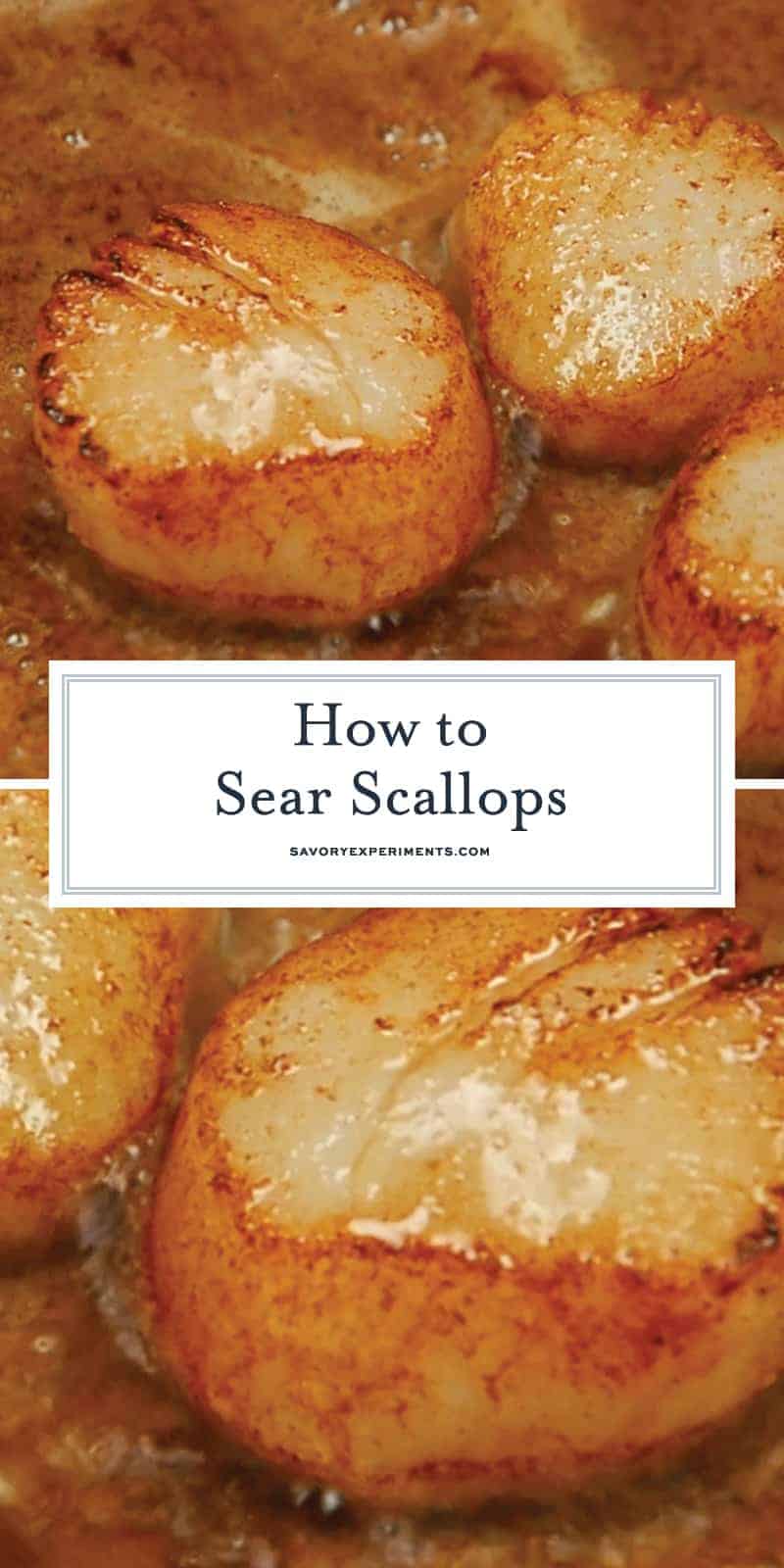 Pan Seared Scallops at home are easy to make. Learn how to prevent your scallops from sticking and get restaurant quality crust every time! #howtosearscallops #howtocookscallops www.savoryexperiments.com