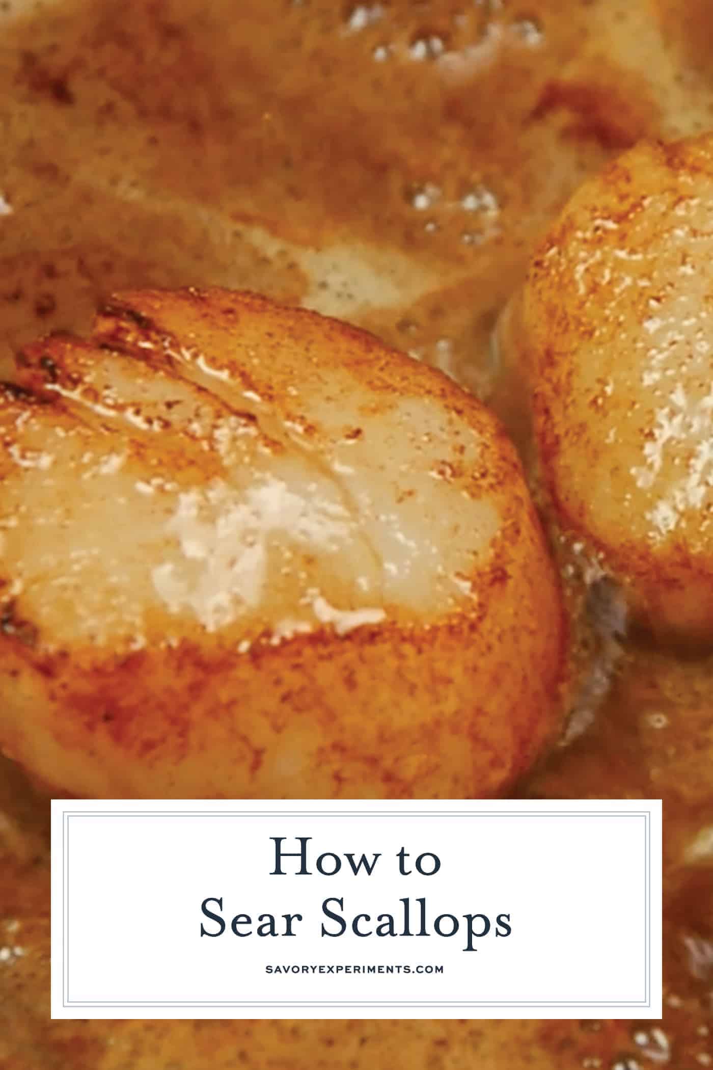 Pan seared scallops
