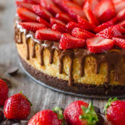 Chocolate covered strawberry cheesecake with strawberries