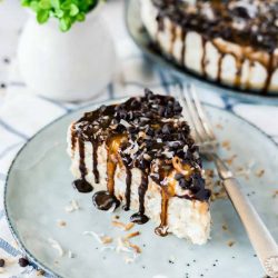 A slice of samoa cheesecake on a plate