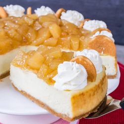 Vanilla bean cheesecake topped with apples