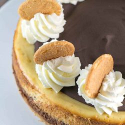 Close up of chocolate banana cheesecake