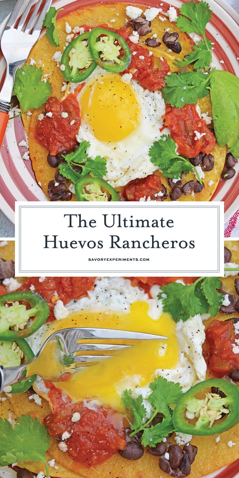 Huevos Rancheros are a great way to spice up your breakfast. Lacey eggs with a runny yolk over warm corn tortillas, chunky salsa, black beans, cilantro and queso fresco. #huevosrancheros www.savoryexperiments.com 