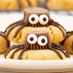 spider cookies for halloween