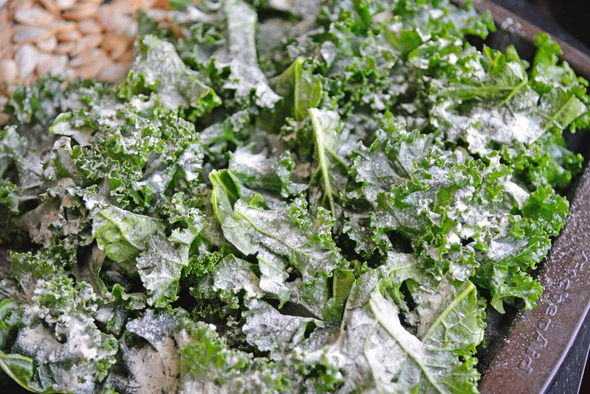 Ranch Kale Chips are a quick and easy 3 ingredient kale chips recipe that offer a tasty and healthy alternative to other chips and snacks. #ranchkalechips #kalechipsrecipe www.savoryexperiments.com