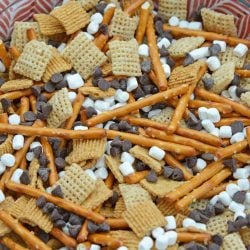 S'mores Trail Mix uses just 5 ingredient to make a sweet, salty and crunchy snack that is perfect for on-the-go and anytime of day! #trailmixrecipes #smoresrecipes www.savoryexperiments.com