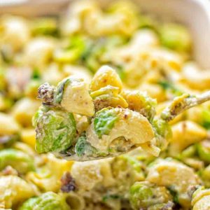 Thanksgiving sides close up of Brussels sprouts mac and cheese