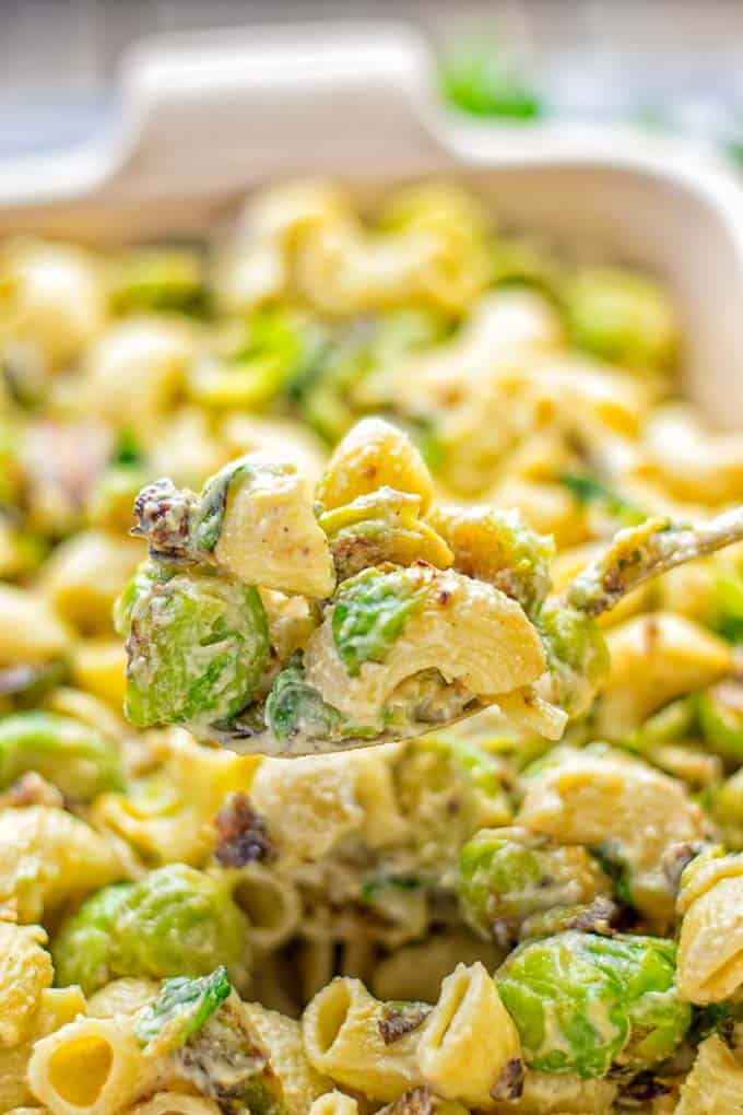 Thanksgiving sides close up of Brussels sprouts mac and cheese