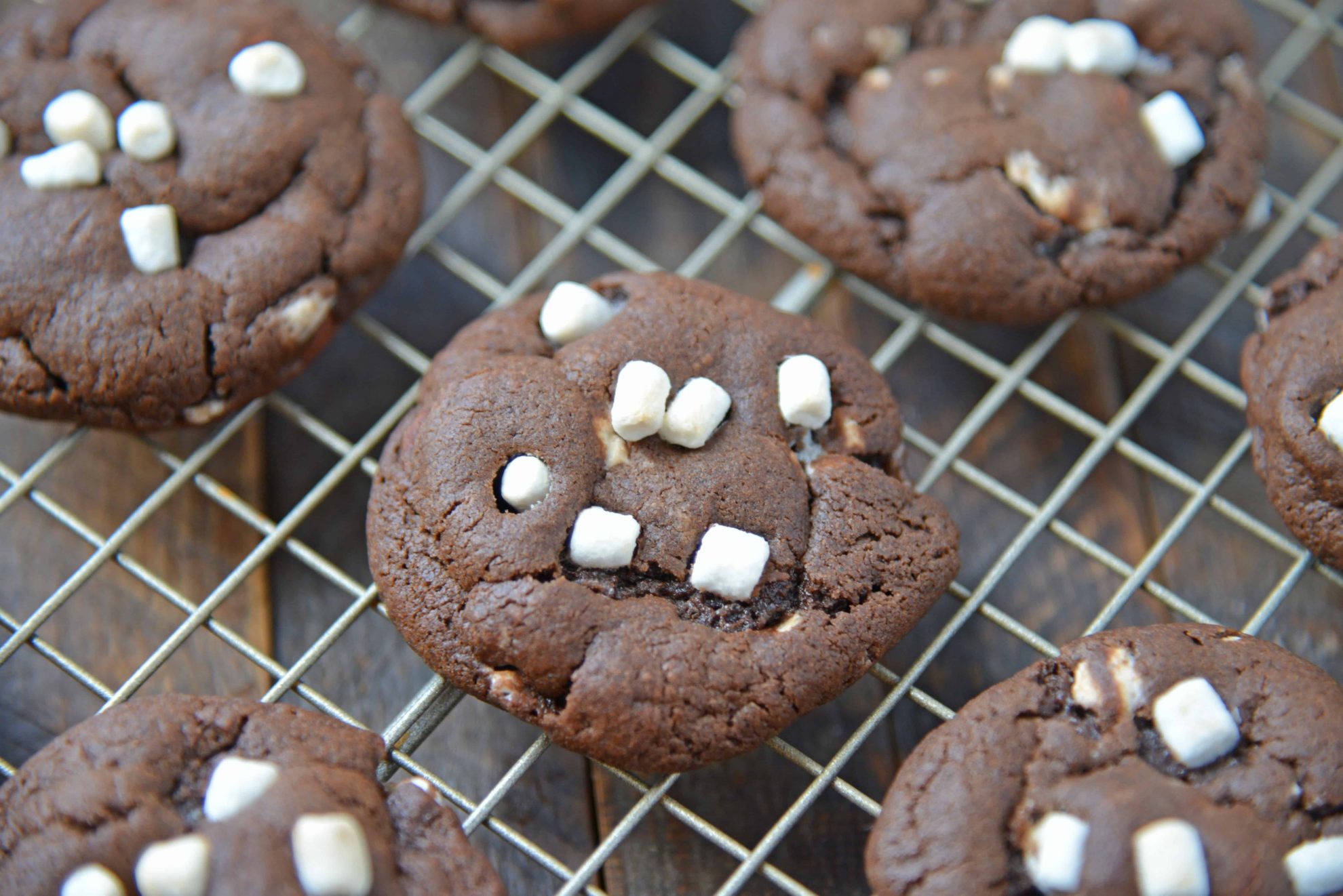 Hot Chocolate Cookies are must-make Christmas cookies! A favorite chocolate sugar cookie recipe with marshmallows, you'll never be able to eat just one! #hotchocolatecookies #chocolatesugarcookiesrecipe #christmascookies www.savoryexperiments.com